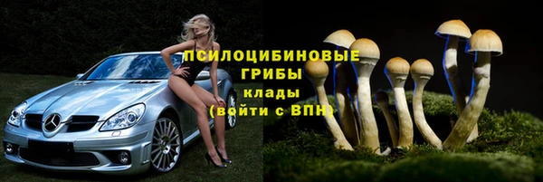 кокаин перу Дмитриев