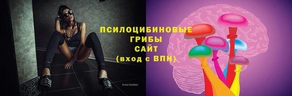 кокаин перу Дмитриев