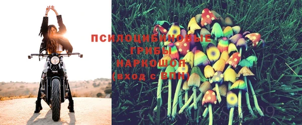 молекула духа Дмитров