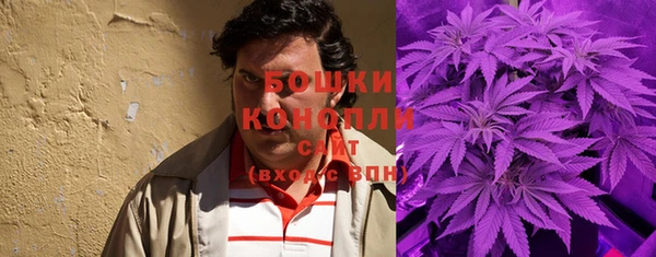 молекула духа Дмитров